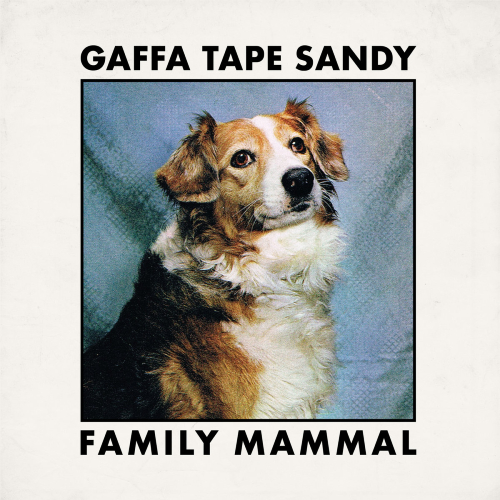 Gaffa Tape Sandy Family Mammal