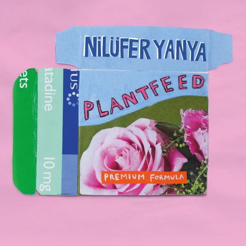 Nilüfer Yanya Plant Food