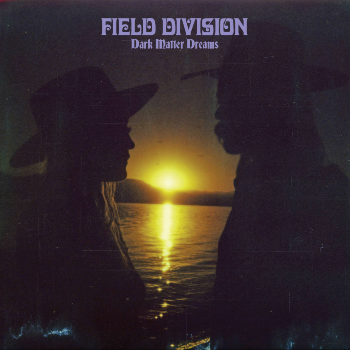 Dark Matter Dreams - Field Division